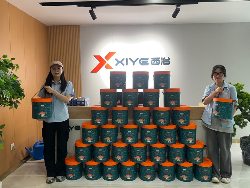 xiye 1